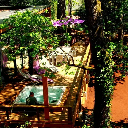Oasis-3
