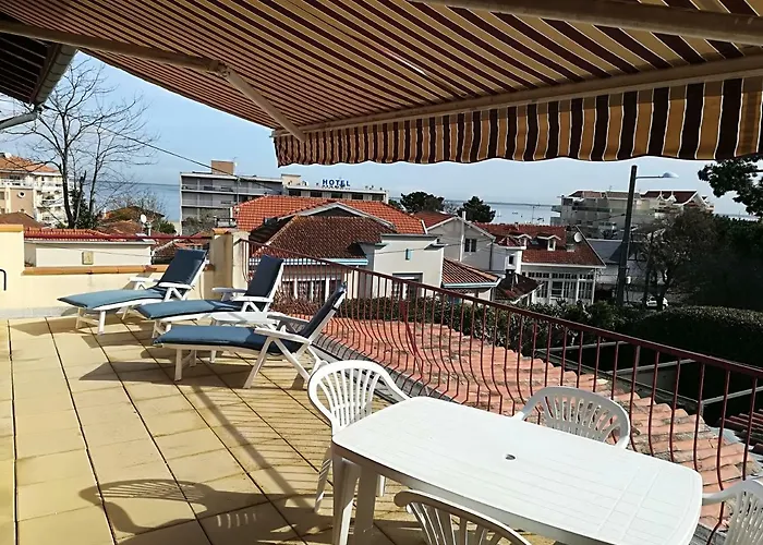 Dune Pontac